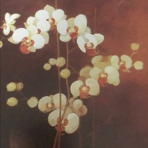 Meet your Posher, Renette